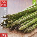 【ふるさと納税】2026年先行予約 生で食べられる北海道富良野産 アスパラ3kg (S~Lサイズ混合)【配送不可地域:離島】【1561886】