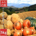【ふるさと納税】2025年先行予約 北海道富良野産 野菜セット5kg詰め(4〜5種類)【1565493】