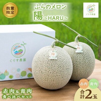 【ふるさと納税】【2026年発送】ふらのメロン「陽 〜HARU〜」赤肉&青肉 食べ比べセット(各1玉合計4kg以上)【1576581】