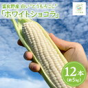 【ふるさと納税】【2026年発送】北海道富良野産白いとうもろこし「ホワイトショコラ」12本(約5kg)【配送不可地域:離島】【1576599】