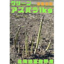 【ふるさと納税】【2026年発送】北海道 富良野産 グリーンアスパラ 無選別 約1kg【配送不可地域:離島】【1611749】