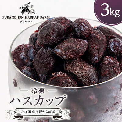 【ふるさと納税】冷凍ハスカップ 3kg_ ハスカップ 果物 フルーツ ベリー くだもの 冷凍 新鮮 農家直送 北海道 富良野 人気 おすすめ 送料無料 【配送不...