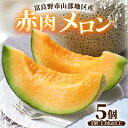 【ふるさと納税】富良野市山部地区産 赤肉メロン 5個(1個1.6kg以上)【1620057】