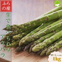 【ふるさと納税】2026年先行予約 「生」で食べられる!北海道富良野産 グリーンアスパラ 1kg(M~Lサイズ混合)【配送不可地域:離島】【1624024】