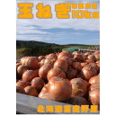 【ふるさと納税】【2025年10月以降発送】北海道 富良野産 玉ねぎ 約10kg【1643940】