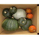 【ふるさと納税】【先行予約】富良野産かぼちゃ詰め合わせ5kg【1660842】
