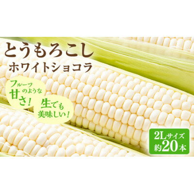 【ふるさと納税】【2026年先行予約】富良野産ホワイトとうもろこし ホワイトショコラ計20本【配送不可地域:離島】【1678461】