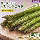 【ふるさと納税】【500g~3kg】2026年先行予約「生」で食べられる富良野産グリーンアスパラ(S~Lサイズ混合)【配送不可地域:離島】【G1633261】