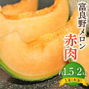 【ふるさと納税】富良野メロン赤肉 1玉(大玉)_ メロン 富良野メロン 赤肉 赤肉メロン 果物 くだもの 北海道 富良野 ギフト プレゼント 贈り物 ふるさと ...