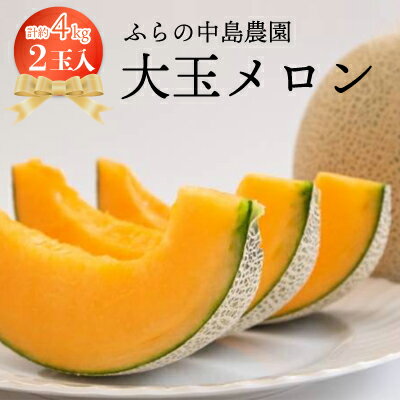 【ふるさと納税】【先行受付】富良野市産 大玉メロン2玉入り【1266461】のサムネイル