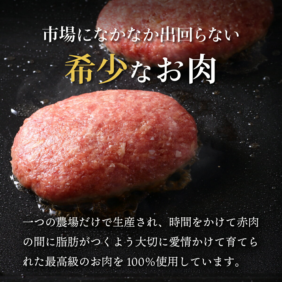 【ふるさと納税】登別牛100％使用ハンバーグ 120g×5個 選べるお届け回数 単品 定期便 全2回〜5回【お肉・ハンバーグ・登別牛】
