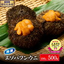 【ふるさと納税】金賞受賞! 国産 うに 冷凍 うに 北海道 登別近海産 エゾバフンウニ 100g ~ 500g【6月以降順次配送】 | ふるさと納税 うに 雲丹...