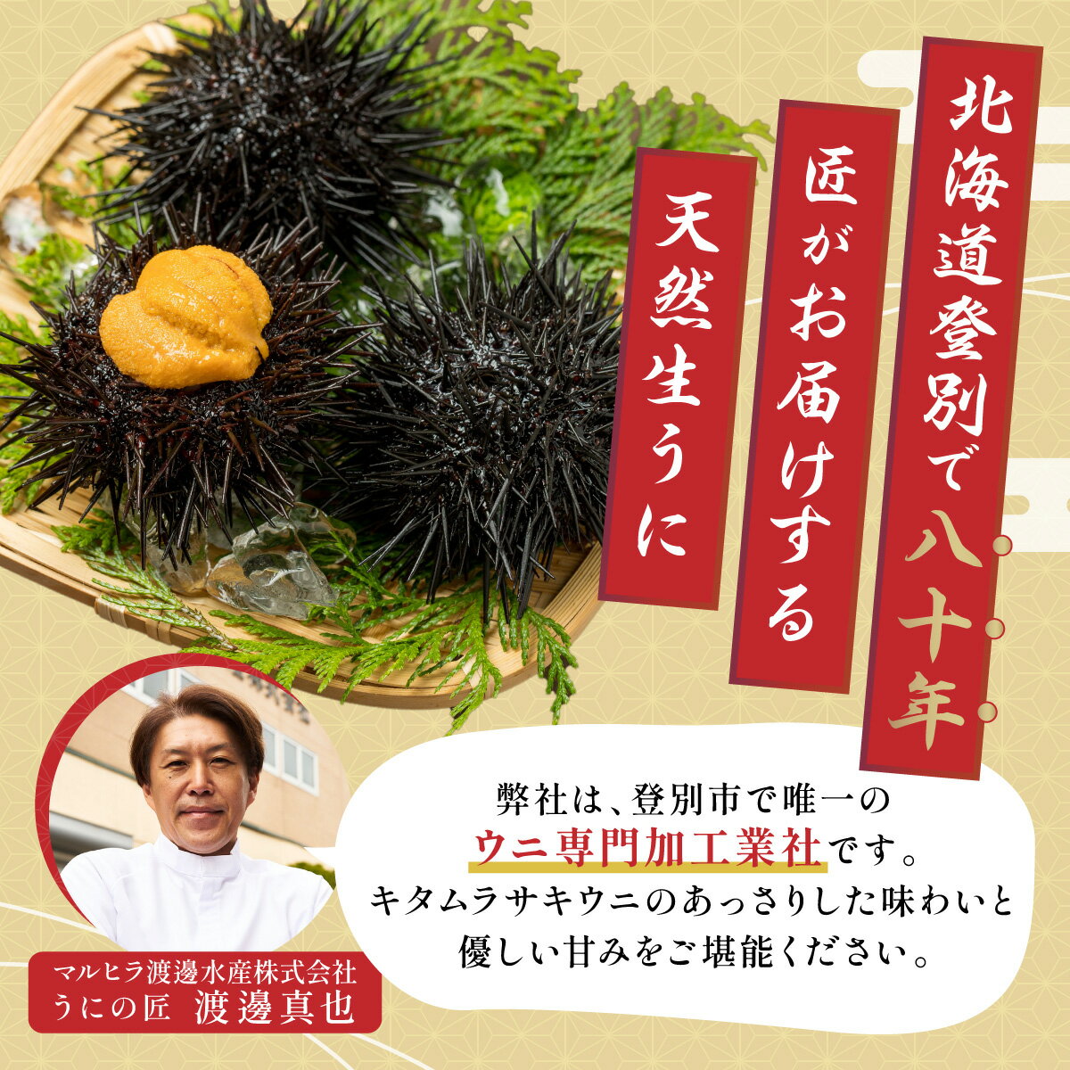 【ふるさと納税】極上！北海道産キタムラサキウニ折詰100g ※2024年6月下旬よりお届け　【北海道 生うに 海鮮 ムラサキウニ 折うに】　お届け：2024年6月下旬～8月末まで