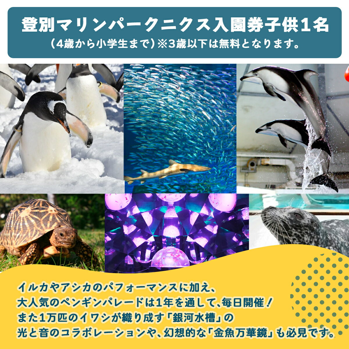 【ふるさと納税】登別マリンパークニクス 入園券　子供1名　【 チケット 北海道 観光 旅行 日帰り 子連れ 北海道 水族館 動物園 イルカ アシカ パフォーマンス ペンギン パレード 銀河水槽 金魚万華鏡 】