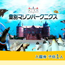 【ふるさと納税】登別マリンパークニクス 入園券　子供1名　【