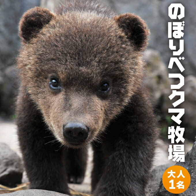 のぼりべつクマ牧場入場券 大人(中学生以上)1名様[チケット 北海道 観光 旅行 日帰り 子連れ 家族連れ テーマパーク 動物園 牧場 博物館 展望台 カフェ ロープウェイ クマ ヒグマ アヒル リス ヒトのオリ]