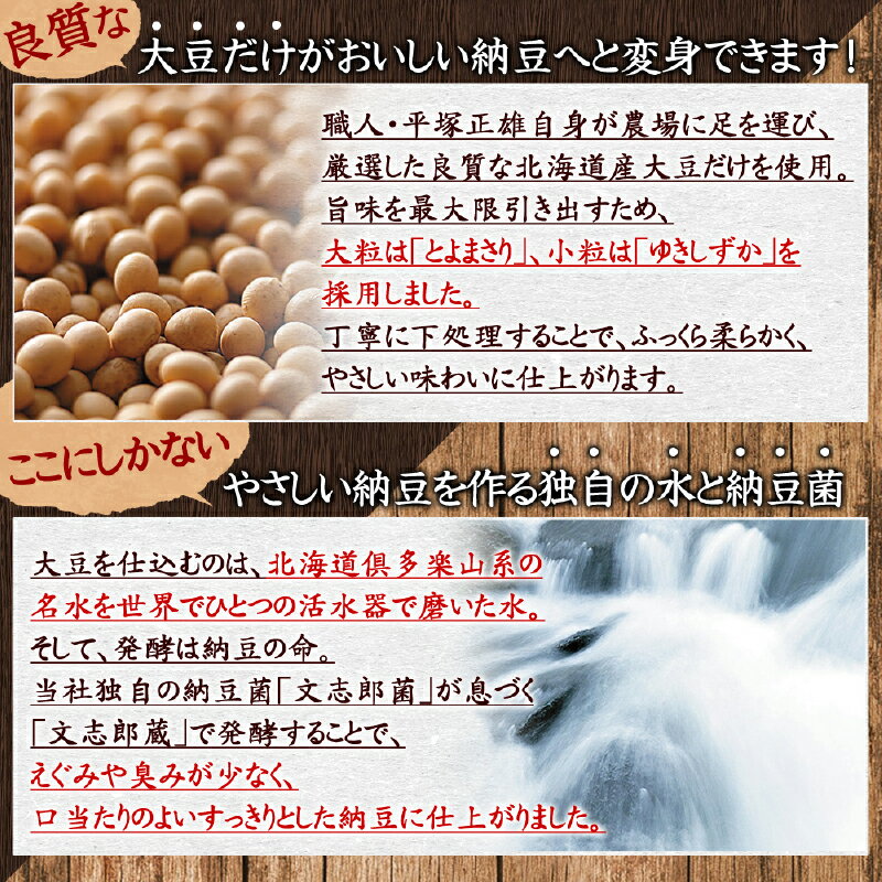 ひろし屋　ジーマーミとうふ　島豆腐セット　沖縄豆腐　島豆腐　豆腐ちゃんぷるー　豆腐チャンプルー　ジーマーミー豆腐　じーまーみー豆腐　ジーマミー豆腐　真空パック　お中元　夏ギフト　お歳暮　冬ギフト　【送料無料】