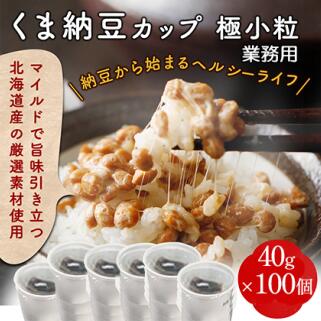 【ふるさと納税】業務用　極小粒納豆（ミニカップ）40g×10
