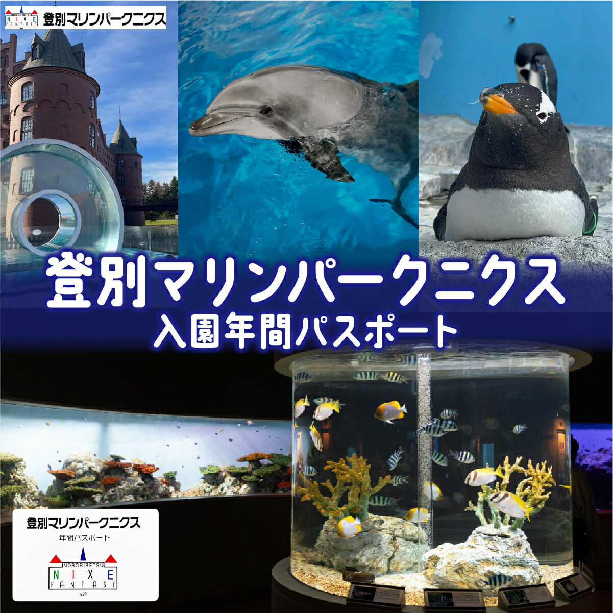 登別マリンパークニクス 入場券年間パスポート 大人・子ども 各1名 [ チケット 北海道 観光 旅行 体験 パーク 入場券 入園券 割引 北海道 水族館 動物園 イルカ アシカ ペンギン パレード]