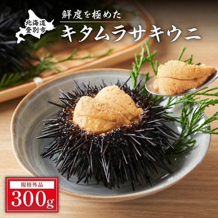 【ふるさと納税】≪規格外品≫キタムラサキウニ300g(100gパック入り×3個) ※2020年6月下旬よりお届け　【魚貝類・加工食品・ウニ・雲丹】　お届け：2020年6月下旬〜8月中旬まで