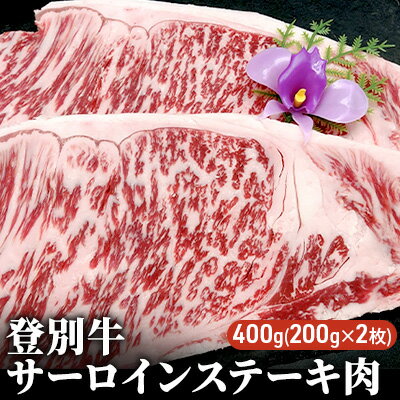 【ふるさと納税】登別牛サーロインステーキ肉400g（200g×2枚）　【 ステーキ 肉 お肉 牛肉 登別牛 黒毛和牛 サーロインステーキ 400g 】