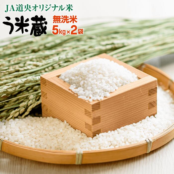 【ふるさと納税】う米蔵無洗米5kg×2 10kg 北海道産 