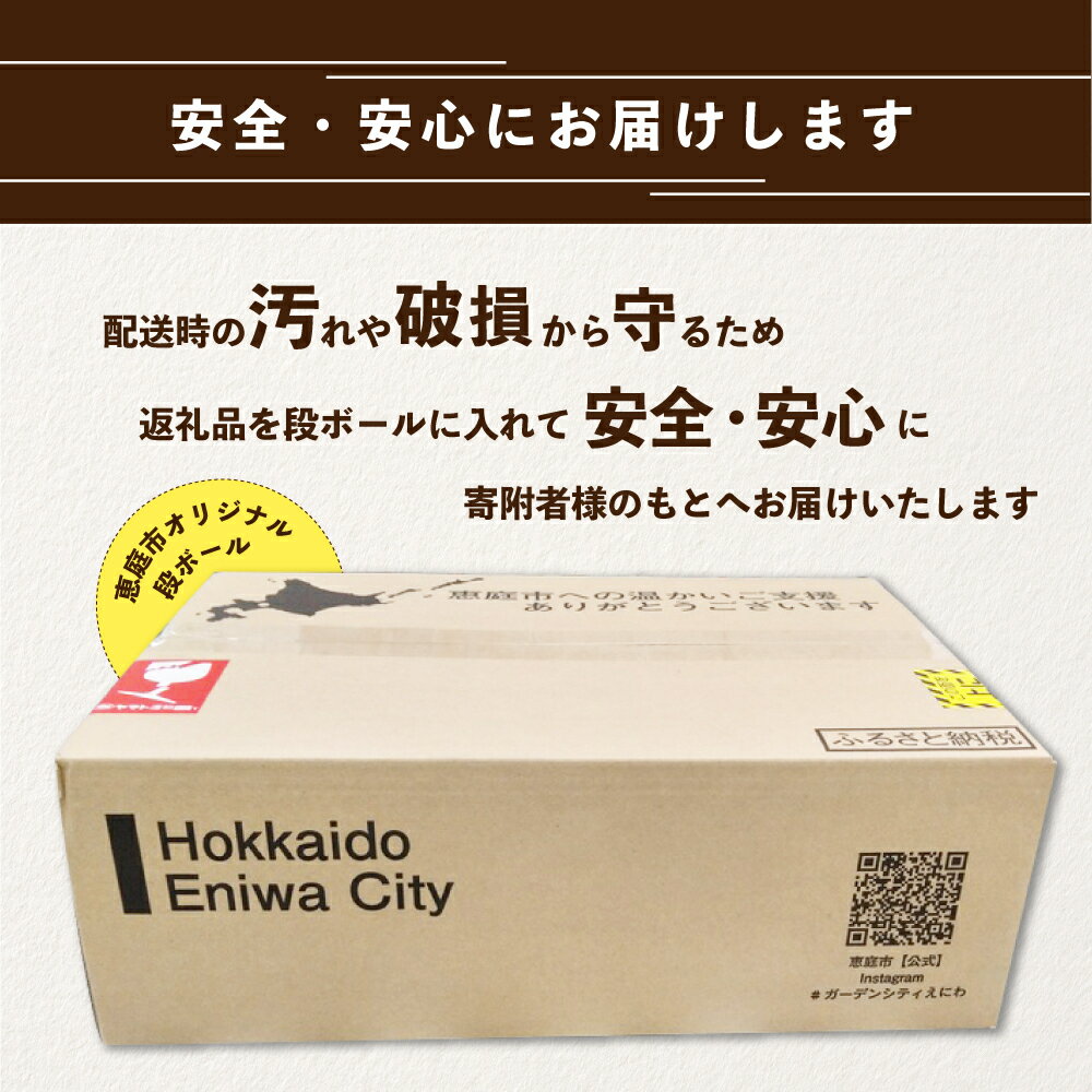 【ふるさと納税】『定期便：全2回』 GOLDSTAR350ml×24本 ゴールドスター GOLDSTAR サッポロビール 350ml 24本 ビール 生ビール サッポロ 北海道 ふるさと納税 恵庭市 恵庭 定期便 2ヶ月 定期 2回 【300135】