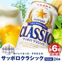 『定期便：全6回』 サッポロクラシック500ml×24本  サッポロビール サッポロ ビール 生ビール 500ml 24本 クラシック サッポロクラシック 北海道 ふるさと納税 恵庭市 恵庭 定期便6ヶ月 定期 6回 