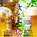 『ビール飲み比べ定期便：全5回』 サッポロクラシック350ml×24本とヱビスビール350ml×24本 サッポロビール サッポロ クラシック エビスビール ビール 生ビール 定期便 5ヶ月 定期 5回 北海道 ふるさと納税 恵庭市 恵庭 