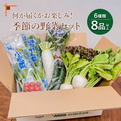 季節の野菜おたのしみセット 北海道産 季節の野菜 セット 詰め合わせ 11000円 11,000円 6種類 8品 お楽しみ 取り寄せ 余湖農園 新鮮 北海道 ふるさと納税 恵庭市 恵庭 【310005】