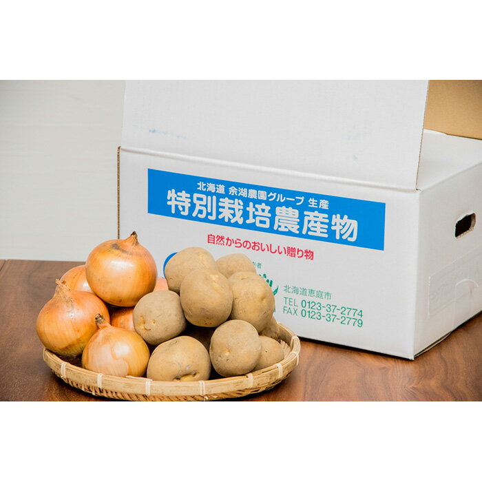 【ふるさと納税】じゃがいも たまねぎ 10kg セット キタアカリ5kg 玉葱5kgセット 北海道 8000円 8,000円 恵庭市 ふるさと納税 北海道ふるさと納税【31007】のサムネイル