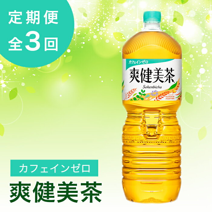 【ふるさと納税】『定期便』爽健美茶 2000mlPET×6本　全3回【38029】