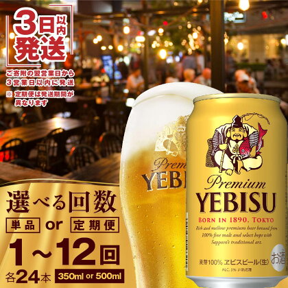 ヱビスビール 350ml 500ml 24本 定期便 サッポロビール エビス サッポロ ビール 生ビール ヱビス えびす 北海道 ふるさと納税 恵庭市 恵庭 【300071】