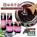 【ふるさと納税】【のし付き】「紫のめぐみ」ハスカップジャム&ソースセット(各2本)【010002】