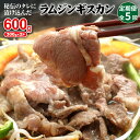 【ふるさと納税】【定期便:全5回】 味付きジンギスカン 300g×2個 オンライン 申請 ふるさと納税 北海道 恵庭 ラム肉 ラム 味付き タレ 羊 羊肉 肉 お肉 ジンギスカン 焼肉 バーベキュー BBQ アウトドア 定期便 5ヶ月 恵庭市【16002301】