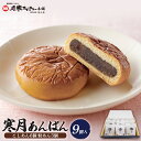 【ふるさと納税】寒月9個入(こしあん6個 粒あん3個) 月寒あんぱん本舗 月寒あんぱん あんぱん あんこ こしあん つぶあん ほんま オリジナル 北海道 ふるさと納税 恵庭市 恵庭 お取り寄せ スイーツ 和菓子【17001302】