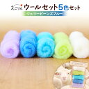 【ふるさと納税】えこりんウールセット《白とジェリービーンズ ブルー》 手芸キット ウール 生地 手芸 6,000円 6000円 手作り ふるさと納税 北海道 恵...