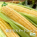 【ふるさと納税】『★先行予約★8月初旬より順次発送』 朝どり スイートコーン 25本 北海道産 とうもろこし ふるさと納税 北海道 恵庭市 恵庭【3100010...