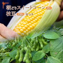 朝晩の寒暖差が大きい北海道で採れる野菜は、甘く、美味しく育ちます。出荷前日に収穫した枝豆（250gX3パック）と、出荷当日朝に収穫したスイートコーン（Mサイズ以上15本）のセットをクール便でお送りいたします。（スイートコーンは、黄色一色の品種です。） 名称 【ふるさと納税】『★先行予約★8初旬より順次発送』枝豆250g入り3パック＆朝どりスイートコーン15本 北海道産 枝豆 とうもろこし【31000201】 原材料名 - 製造地 有限会社余湖農園 内容量 ■内容量・枝豆（250gX3パック）・朝どりスイートコーン　Mサイズ以上　15本■生産地北海道恵庭市 アレルギー 大豆 賞味期限 消費期限/7日 保存方法 要冷蔵 製造者 有限会社余湖農園 発送元 有限会社余湖農園 申込可能な期間 2024/8/15　ご入金確認分まで 発送可能な時期 2024年8月初旬～2024年8月30日 配送不可地域 - 配送不可離島有無 なし 注意事項 ※商品到着後なるべく早めにお召し上がりください。※天候状況により、出荷時期の変動があります、ご了承ください。※品種はお選びいただけません。※画像はイメージです※2023年6月1日より発送開始後に送り先を変更(転送)される場合、変更先までの運賃（ヤマト運輸が定める定価運賃）が発生します。　送り先を変更した場合に生じた運賃は、着払いとなり、お届け先の方にお支払いいただくこととなりますので予めご了承下さい。※着日・着曜日のご指定はお受けできません。 ・ふるさと納税よくある質問はこちら ・寄附申込みのキャンセル、返礼品の変更・返品はできません。あらかじめご了承ください。 関連キーワード - 贈り物として お歳暮 御歳暮 お中元 中元 暑中見舞い 寒中見舞い 両親 実家 義実家 義両親 お歳暮 マナー ギフト 名入れ 入学祝い 誕生日 お正月 新年 成人式 祖母 祖父母 内祝い 結婚祝い 出産祝い 昇格祝い 贈り物 退院祝い パーティ ホーム 集まり 親戚 お歳暮 関連キーワード 人気 ランキング お試し 食品 グルメ お取り寄せグルメ ふるさと納税 送料無料 人気 ランキング 北海道 北海道産 おすすめ 国産 楽天ふるさと納税 39ショップ買いまわり 39ショップ キャンペーン 買いまわり 買い回り 買い周り お買い物マラソン マラソンセール 楽天スーパーセール SS スーパーセール スーパーSALE ポイント ポイントバック 小分け ふるさと納税 ふるさと納税 ふるさと 人気 ビール のおつまみ おつまみ 酒 ふるさと 納税 限度 額【ふるさと納税】『★先行予約★8初旬より順次発送』枝豆250g入り3パック＆朝どりスイートコーン15本 北海道産 枝豆 とうもろこし【31000201】 朝晩の寒暖差が大きい北海道で採れる野菜は、甘く、美味しく育ちます。出荷前日に収穫した枝豆（250gX3パック）と、出荷当日朝に収穫したスイートコーン（Mサイズ以上15本）のセットをクール便でお送りいたします。（スイートコーンは、黄色一色の品種です。） ▼その他関連返礼品はこちら▼ ▼恵庭市の様々な挑戦ストーリーを掲載してます！▼ 「ふるさと納税」寄附金は、下記の事業を推進する資金として活用してまいります。 寄附を希望される皆さまの想いでお選びください。 1.『水と緑と花のまちづくり事業』 2.『子育て支援事業』 3.『青少年・文化振興事業』 4.『高等学校等入学準備金支給事業』 5.『スポーツ振興事業』 6.『社会福祉推進事業』 7.『農業振興事業』 8.『市長におまかせ』 寄附金の用途についてご希望がなければ、市政全般に活用いたします。 入金確認後、注文内容確認画面の【注文者情報】に記載の住所にお送りいたします。 発送の時期は、寄附確認後2週間以内を目途に、お礼の特産品とは別にお送りいたします。