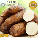 【ふるさと納税】北海道恵庭市産 余湖農園のヤーコン4kg | ヤーコン 4kg 貴重 野菜 根菜 サラダ きんぴら 天ぷら 食物繊維 ポリフェノール ダイエット...