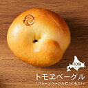 【ふるさと納税】トモヱベーグル 「プレーンベーグル 巴(ともえ)」10個セット ベーグル 10個 セット パン 国産小麦粉 北海道産 小麦粉 天然酵母 トモヱベ...