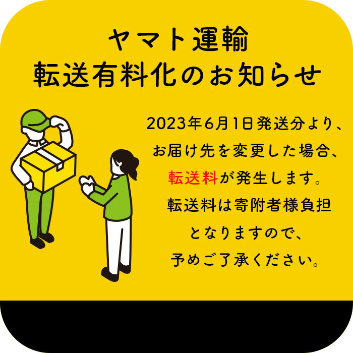 【ふるさと納税】【定期便3回】 トモヱベーグル...の紹介画像2