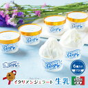 【ふるさと納税】【定期便2回】 ジェラテリアGigi イタリアンジェラート 生乳 詰め合わせ 110ml ジェラート アイス gigi 贈り物 6個 入り スイ...