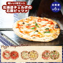 【ふるさと納税】【定期便6回】 チェルボ 石窯ピッツァ 嬉しい2枚 セット ピザ ピッツァ 石窯ピザ マルゲリータ マリナーラ クワトロフォルマッジ バンビーノ...