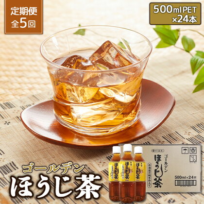 『定期便：全5回』ゴールデンほうじ茶 500ml×24本 ふるさと納税 ほうじ茶 お茶 定期便 5ヶ月 定期 5回 北海道 恵庭 恵庭市【490009】