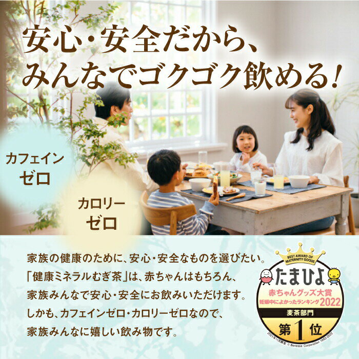 【ふるさと納税】『定期便：全3回』 健康ミネラル麦茶 2L×6本×2箱 恵庭市 ふるさと納税 健康ミネラルむぎ茶 お茶 麦茶 定期便 ノンカフェイン 2L 2箱 2箱セット 12本 3ヶ月 定期 3回 北海道 恵庭【500005】