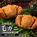 【ふるさと納税】【北海道産】『冷凍』毛ガニ500g前後×2杯【急速冷凍】【52002002】