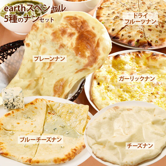 【ふるさと納税】earthスペシャル5種のナンセットカレー ナン セット 5種類 食べ比べ 国産小麦 北海道小麦 プレーン ガーリック チーズナン ドライフルーツナン ブルーチーズ スパイス ネパール 冷凍食品 レトルト 即席 北海道 ふるさと納税 恵庭市 恵庭【65000301】