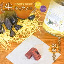 【ふるさと納税】【HONEY DROP】菜の花はちみつ生キャラメル(ハスカップ) 2ダース(24粒入り) | 生キャラメル キャラメル フルーツキャラメル ハス...