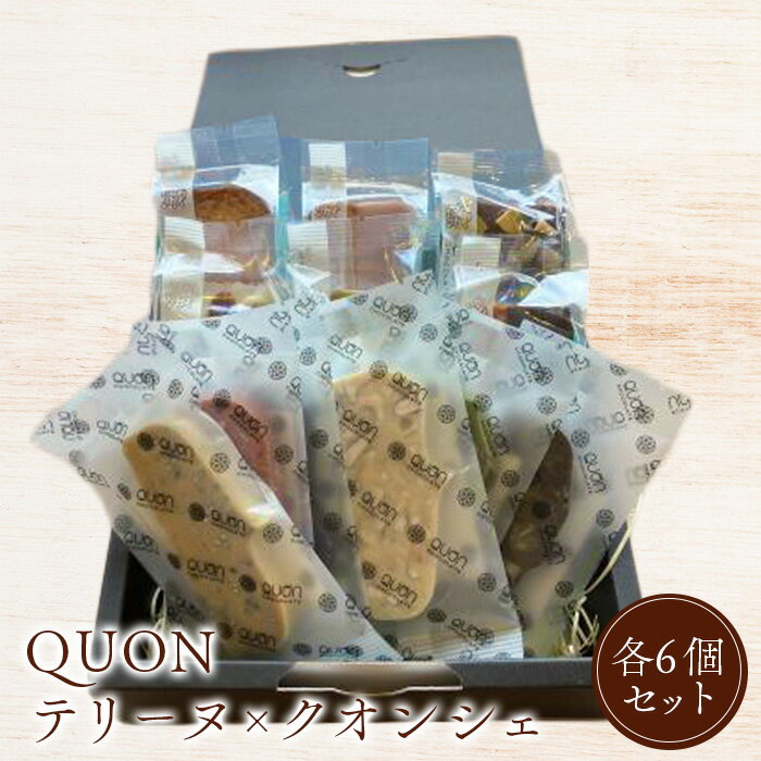 【ふるさと納税】QUONテリーヌ×クオンシェ各6個セット QUON 久遠 チョコレート チョコ テリーヌ クオンシェ お菓子 洋菓子 おやつ ふるさと納税 北海道 恵庭市 恵庭 【660012】